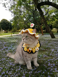 Spring Love