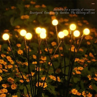 6 BULBS