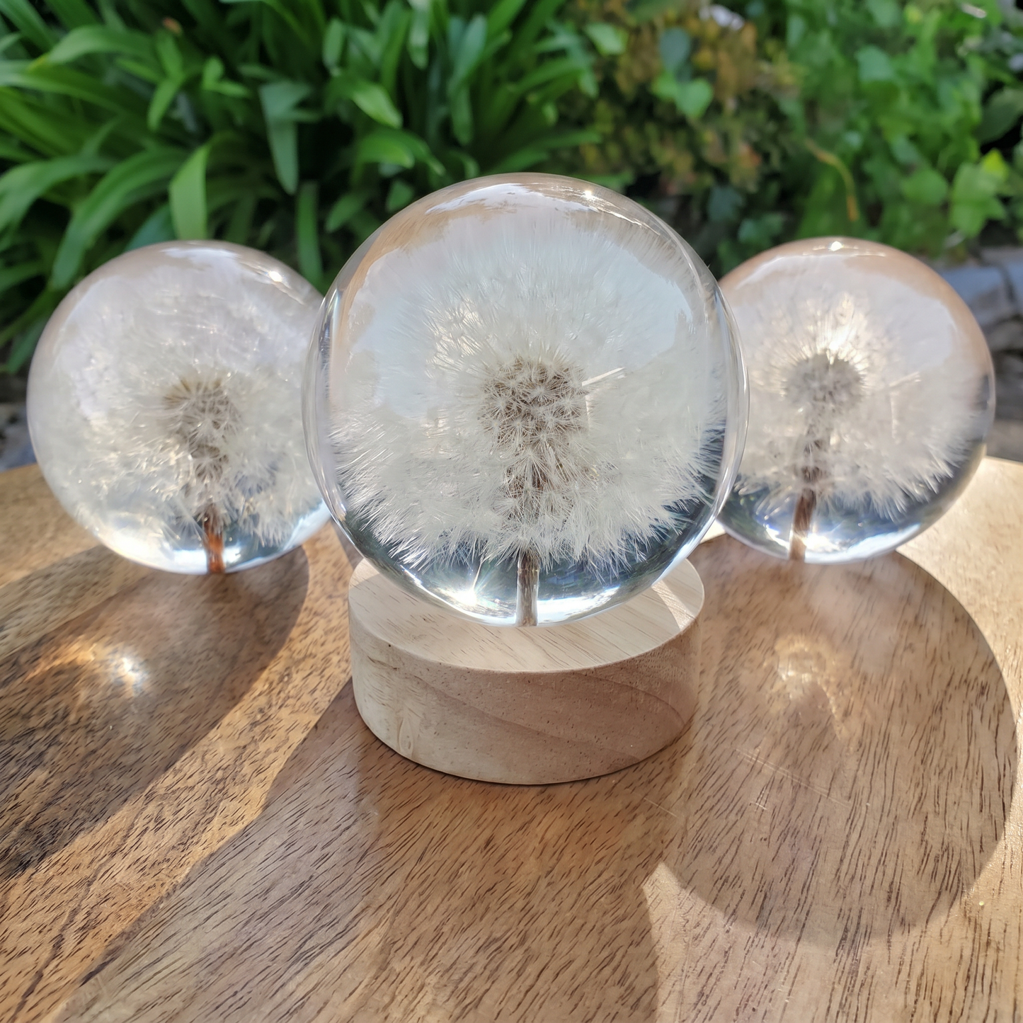 Eternal Flower Resin Lamp 🌸 Handcrafted Floral Night Light, Unique Home Decor & Meaningful Gift