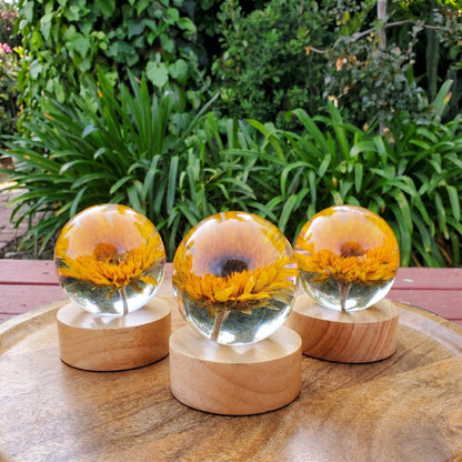 Eternal Flower Resin Lamp 🌸 Handcrafted Floral Night Light, Unique Home Decor & Meaningful Gift