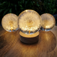 Dandelion（Full Glow Edition）