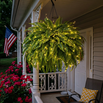 🌿Glowing Boston Ferns with Lights 💛 Zero Watering, Zero Maintenance