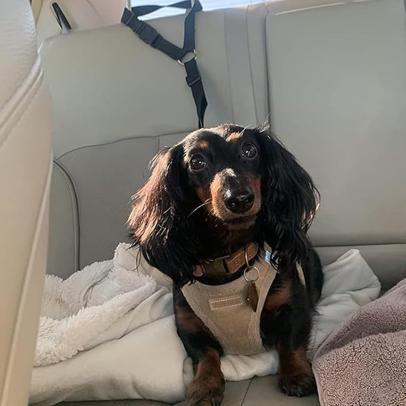 2-in-1 Dog Car Seat Belt & Walking Leash