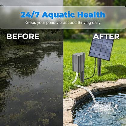🌱50% OFF NOW ! ☀️Solar Powered Pond Aerator Air Pump – wire-free easy installation, energy-saving oxygen supply, outdoor fish pond water circulation, garden koi tank essential!